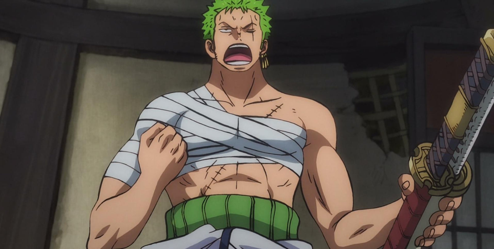 Zoro's wounded